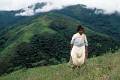 yungas bolivie  11